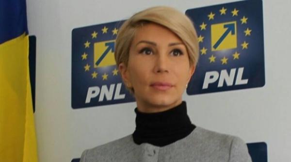 camera deputa ilor regulament pnl sesizare de neconstitutionalitate