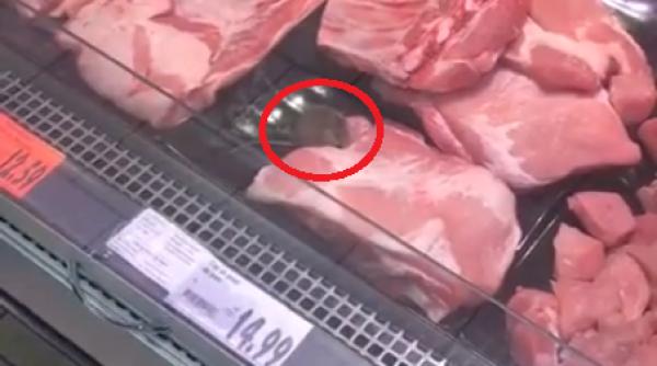 soricel filmat la raionul de carne kaufland pozi ia oficiala a lan ului de hipermarketuri video