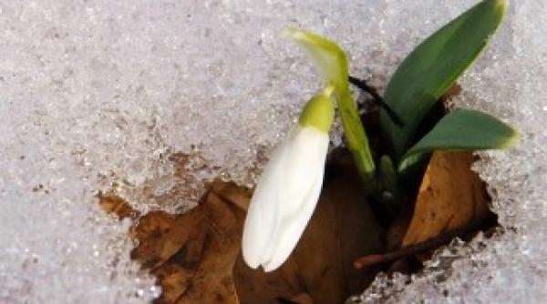anm prognoza meteo schimbare radicala de vreme de cand se incalze te