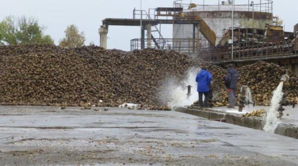 ministerul agriculturii procedura de recunoastere a fabricilor de zahar