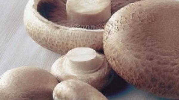 digestie alimentele care te ajuta lista