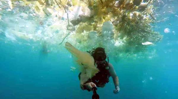 video norul de plastic filmare subacvatica insula bali