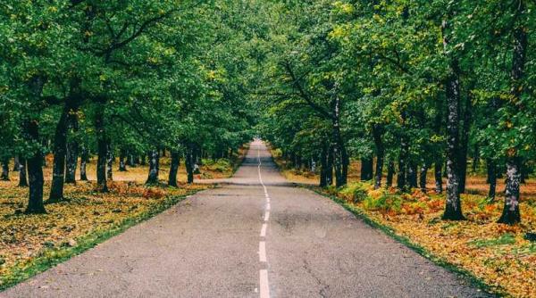 china parc na ional pentru ur ii panda investi ie de 1 58 miliarde de dolari