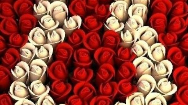 felicitari 8 martie 2018 cele mai frumoase mesaje foto