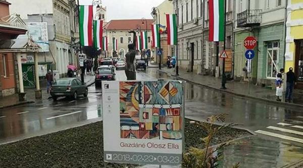 drapelul national primarul din sfantu gheorghe amendat