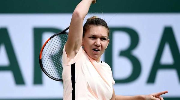 halep criticata dur de doua legende ale tenisului lipsa de profesionalism