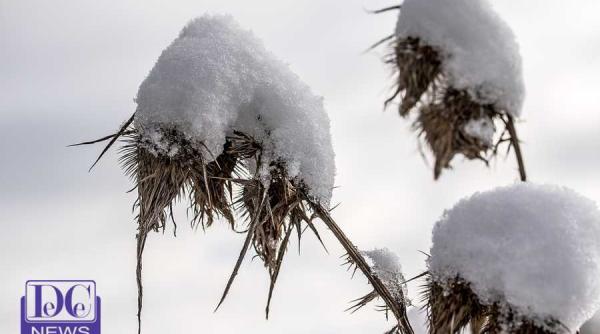 anm vremea prognoza meteo cod portocaliu de vant puternic localita ile vizate