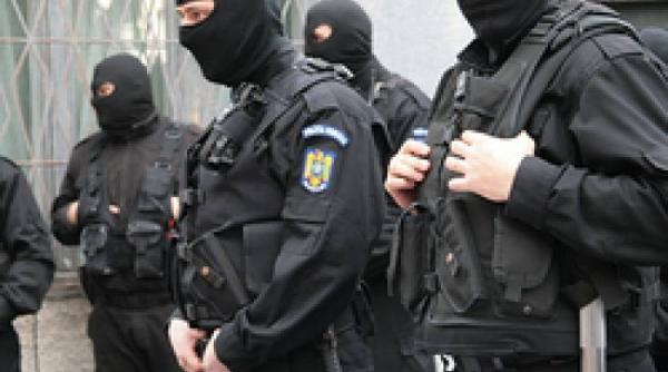 timi oara perchezi ii ale diicot