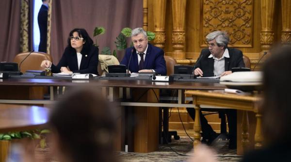 legile justi iei statutul magistratilor organizarea csm vot in comisia iordache