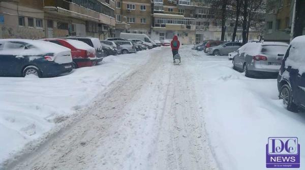 coli inchise martie 2018 daniel tudorache arata paradoxul video