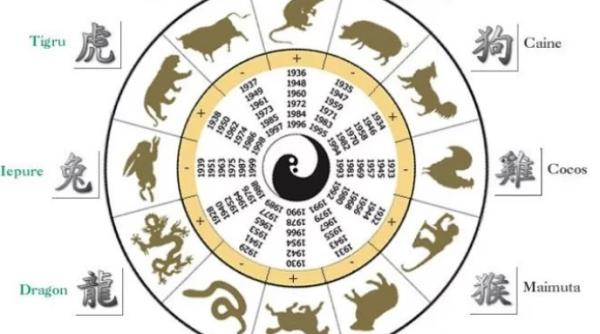 horoscop chinezesc aprilie anca dimancea ce se intampla pana pe data de 16