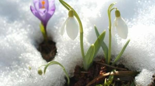 prognoza meteo vremea in bucure ti 26 martie 1 aprilie 21 de grade in aceasta saptamana