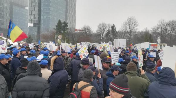 protest al medicilor veterinari la bucure ti sanatatea publica in pericol