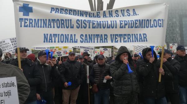protest medici veterinari hotararea ansvsa