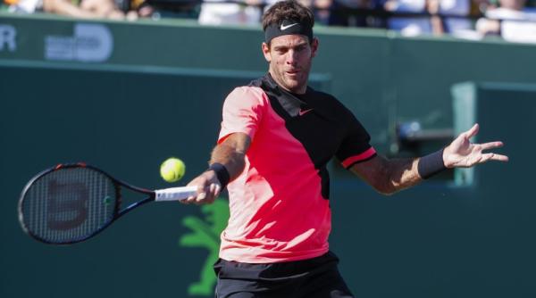 del potro bifeaza cea de a 15 a victorie consecutiva