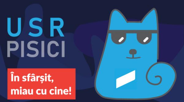 usr pentru pisici slogan in sfarsit miau cu cine toarcem pana la capat