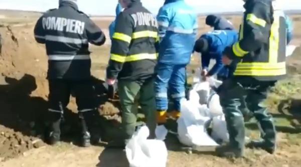 lacul suhaia mobilizare fara precedent video