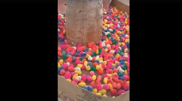 cel mai simpatic video de sfintele pasti nu il rata i