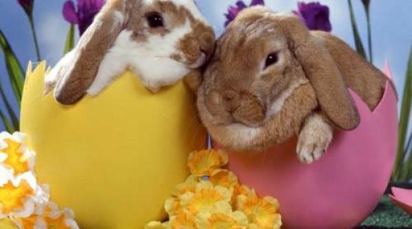 prognoza meteo de pa te 2018 vremea temperaturile din 8 aprilie 2018 pe regiuni