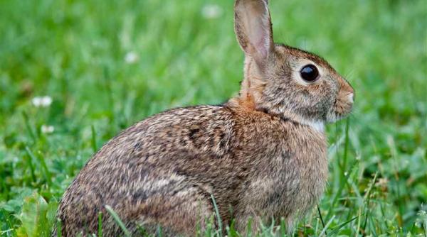 pa te fericit hristos a inviat mesaje de pa te sms uri i urari inspirate