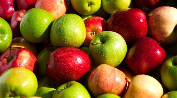 dieta cu mere cum sa scapi de kilograme dupa pa te rezultate miraculoase