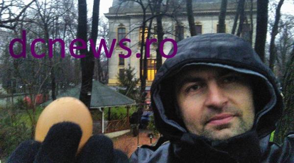 in fa a sediului mai de pa te se impodobe te bradul ce se pune in el