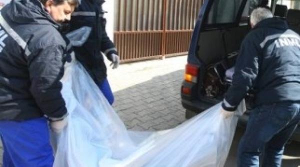 boto ani cadavru descoperit intr un canal de iriga ii