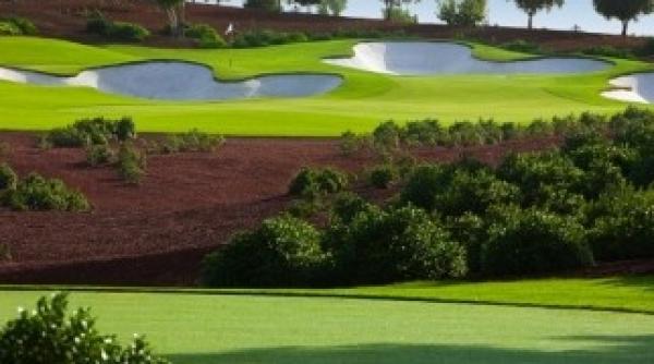 olandezii cauta ingrijitori din romania