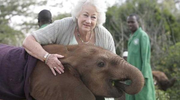 a murit daphne sheldrick  celebra mama a elefantilor orfani