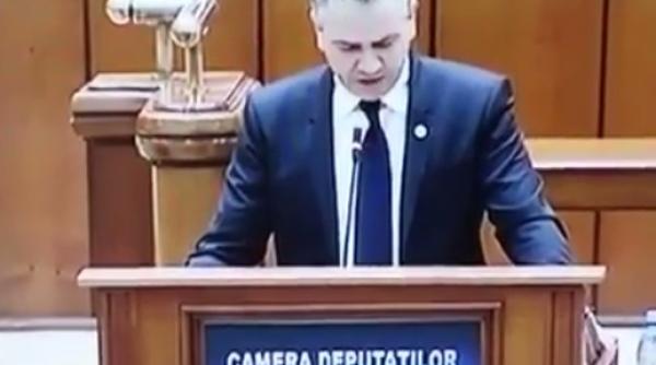 ben oni ardelean pnl psd parlamentarism de haiducie sesizare la ccr