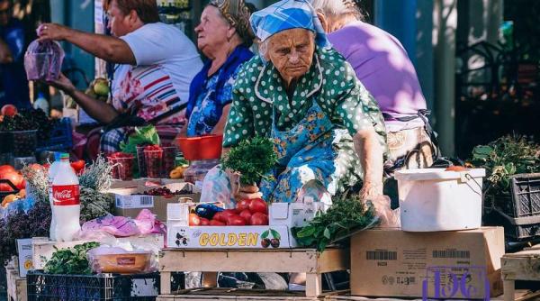 caprariu deloitte politicul agenda paralela cu economicul