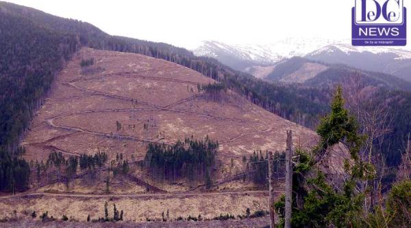 fond forestier pentru lucrari miniere codul silvic modificat