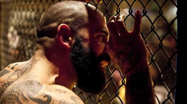 camera deputatilor comisia juridica reducerea pedepsei cu cate 20 de zile pentru fiecare lucrare stiintifica scrisa in inchisoare