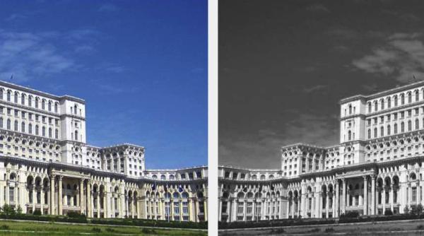 secretele statului paralel friedman care este adevaratul obiectiv