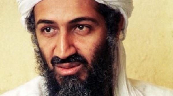 bodyguardul lui bin laden ajutor social de 1168 euro in germania