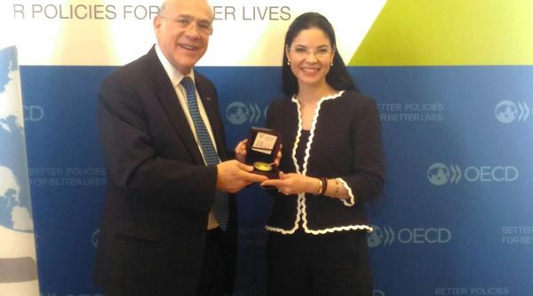 ana birchall angajament ferm pentru inceperea negocierilor de aderare la ocde