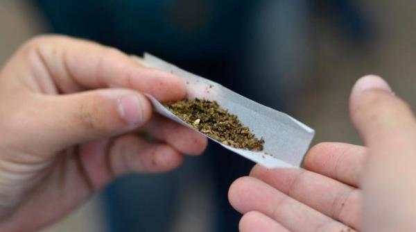 teste anti drog pe litoral ministrul carmen dan confirma