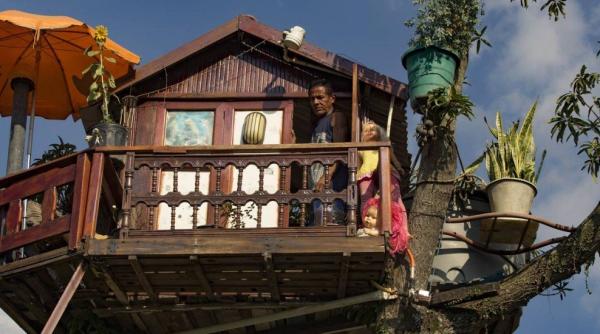 un barbat din brazilia i a facut casa intr un copac la 6 metri inal ime