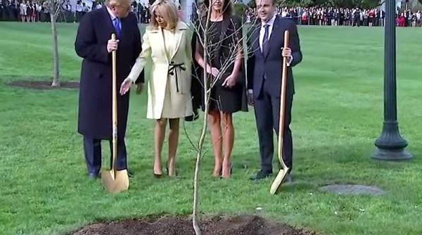 stajarul plantat de trump si macron a disparut