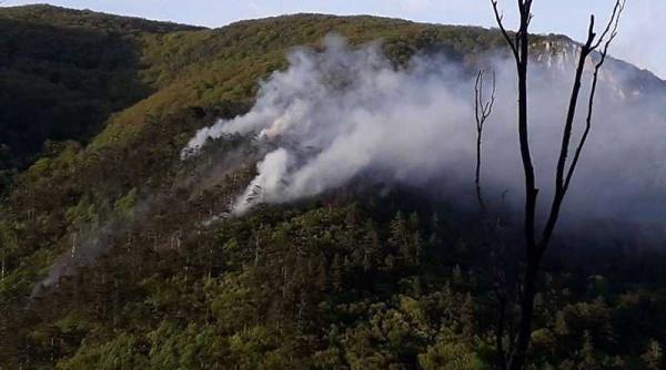 incendi parcul national domogled s a extins la trei hectare