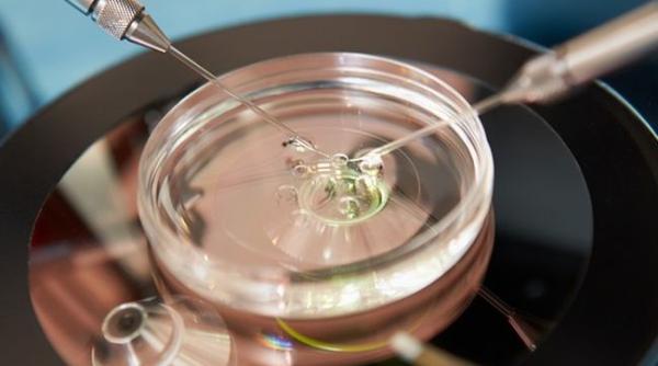 fertilizare in vitro vouchere pentru cuplurile infertile