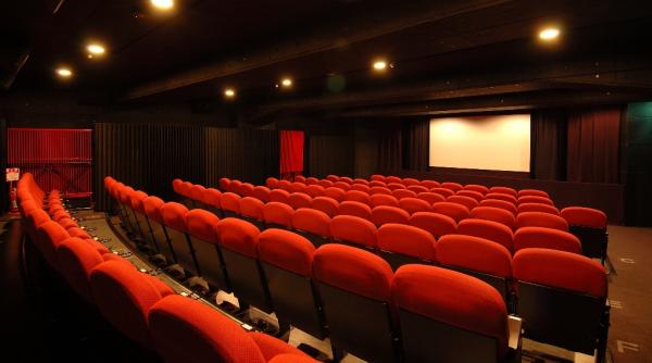 centenarul marii uniri omagiat in cadrul festivalului interna ional de film bucure ti