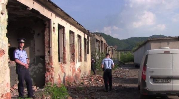 crima baia mare adn ul asasinului feti ei de cinci ani stabilit