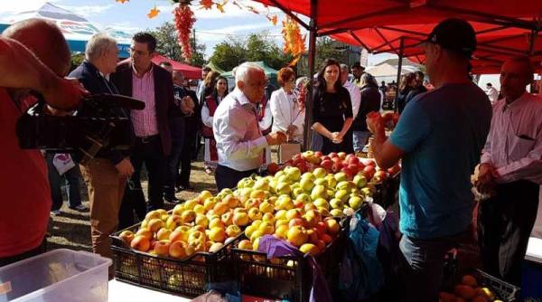 petre daea in lupta cu ceapa de la bruxelles