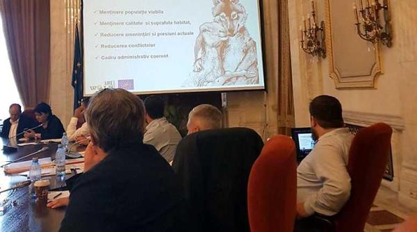 vanatoare ursi dragos harjoaba satui de minciuni si de povesti cu zane