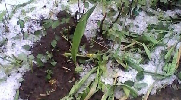 anm cod galben 18 mai meteo vremea avertizare