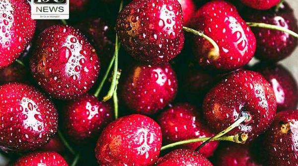 dosar penal pentru ca furau cire e dintr o livada