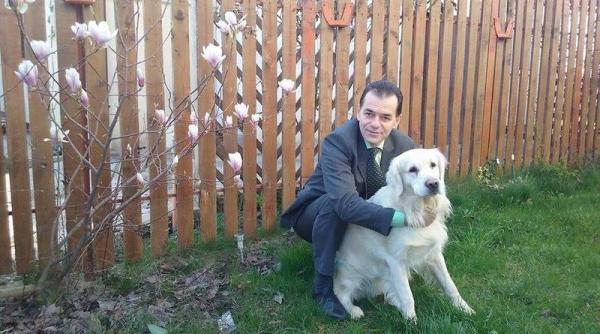 orban taxat dupa o noua mi care ru inos aceasta e adevarata fa a