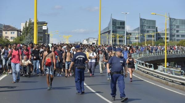 bancul zilei neam ul tot neam