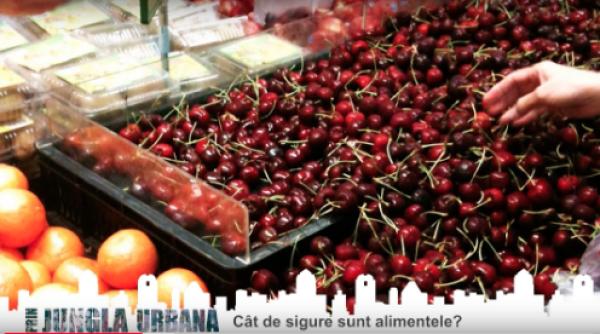 ovidiu zvori teanu director dsvsa bucure ti la jungla urbana cu liviu harbuz